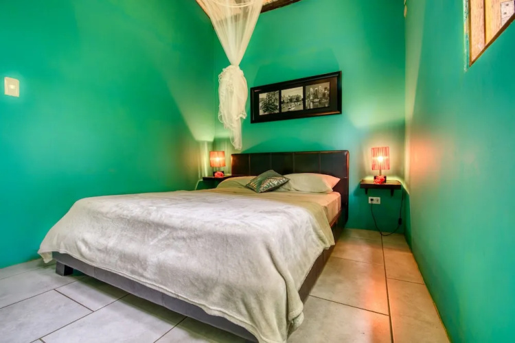 Green Jungle House