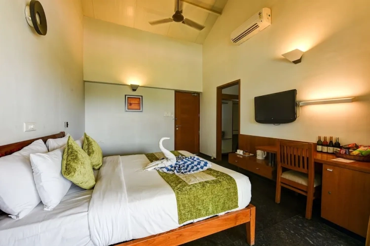 1 Bedroom Deluxe Double room with lake view