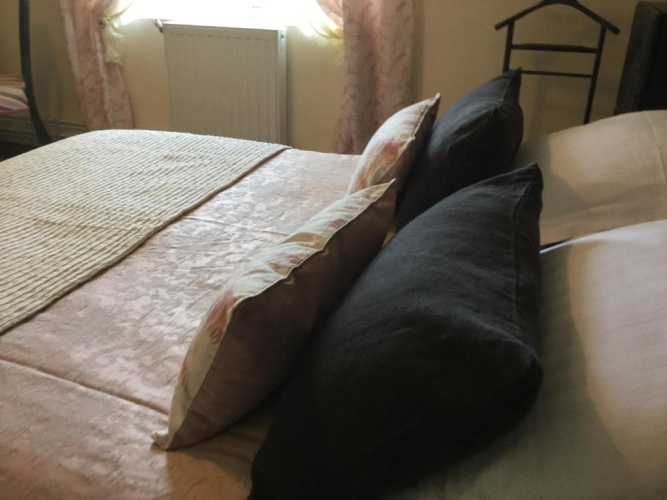 Standard Double room with garden view