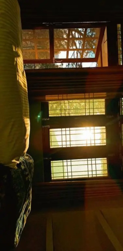The Kiwi Shadow Guest House