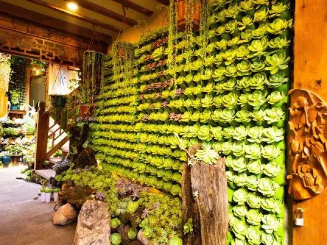 Baisuiyuan Inn