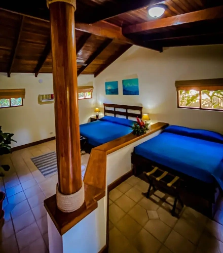 Single Suite