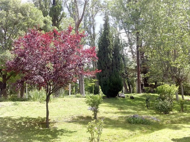 3 Bedrooms Chalet