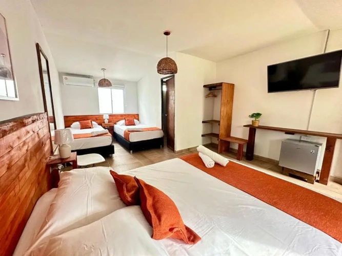 Standard Double room with garden view