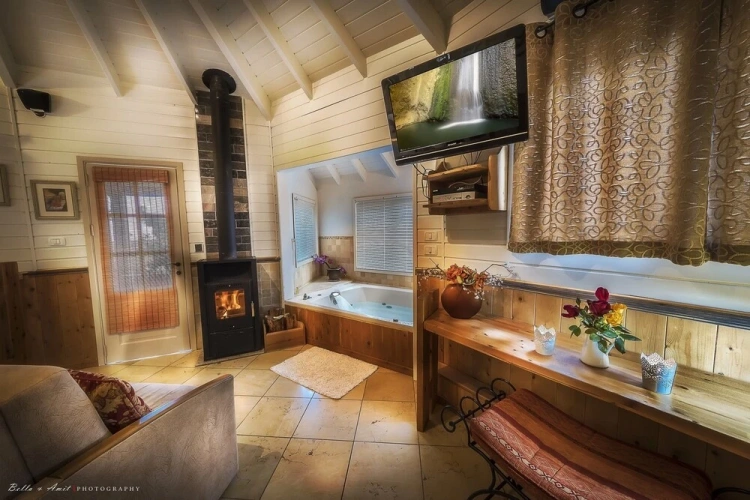 Chalet with mountain view