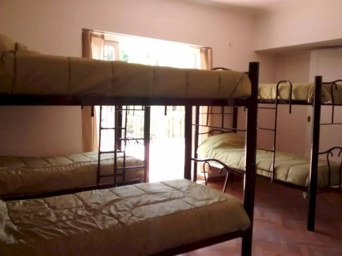 Gorilla - Hostel