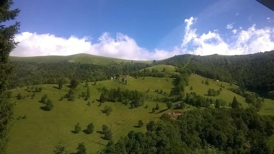 La Genzianella
