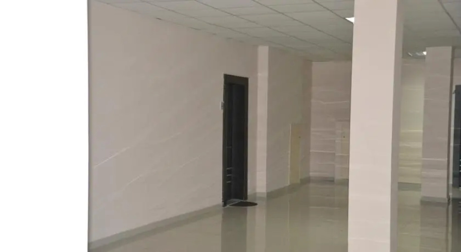 Apartment Rustaveli