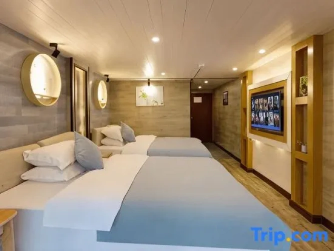 Luxury Twin room