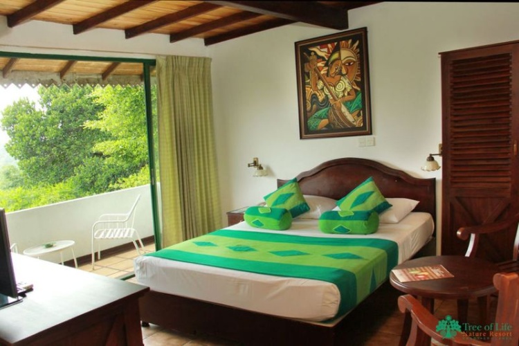 Deluxe Double room with balcony