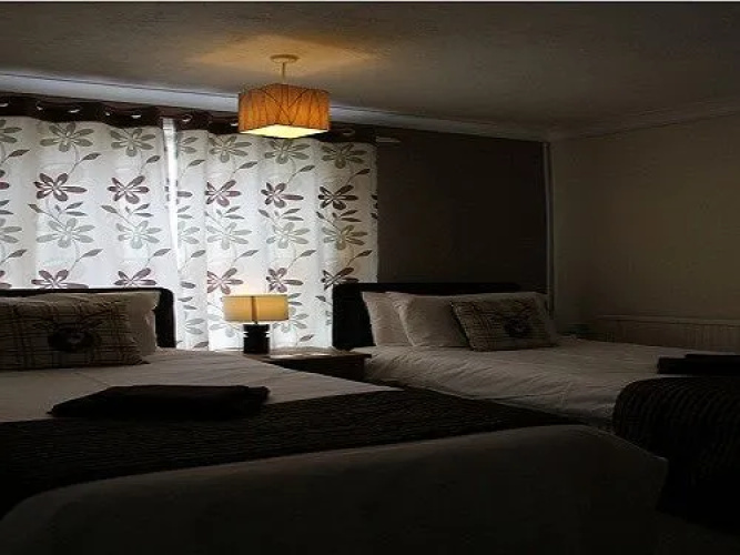 The Elmfield