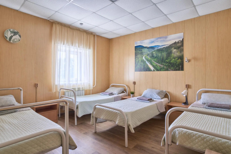 Фотография номера гостиницы Зеленый