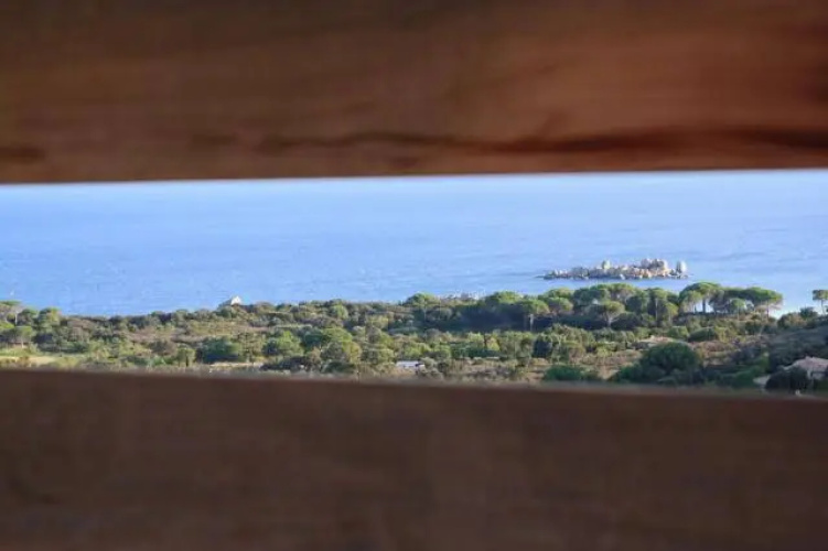 Les Terrasses De Scalegiu