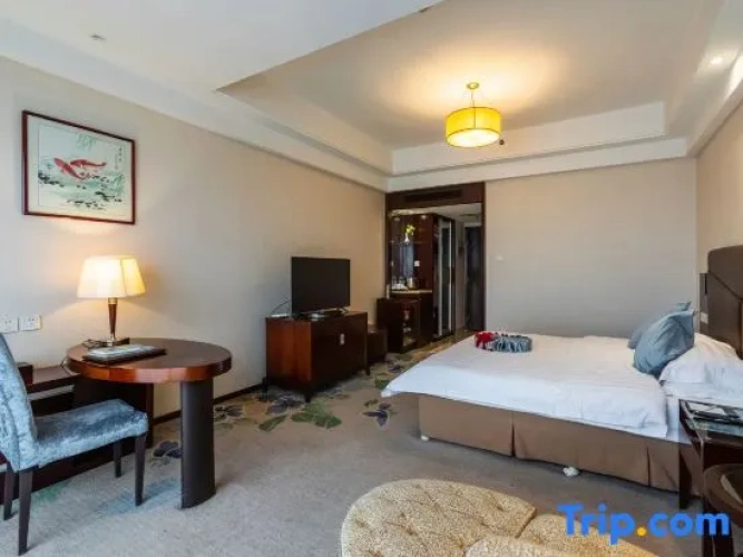 Standard Double room with city view