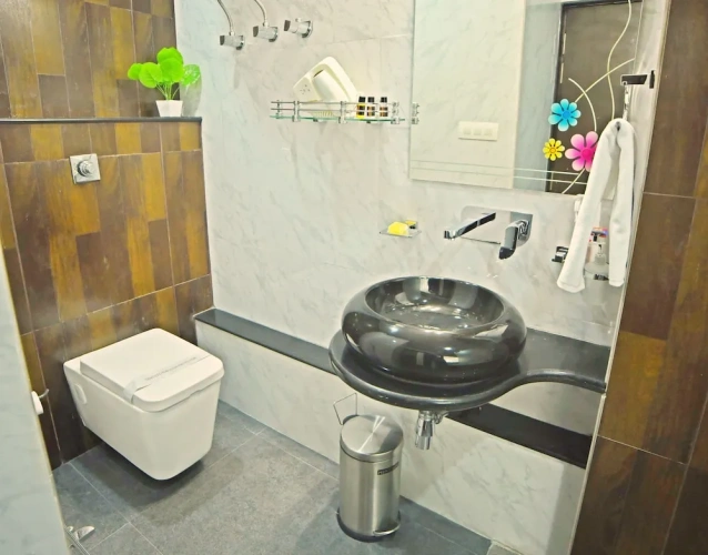 Luxury Apartment