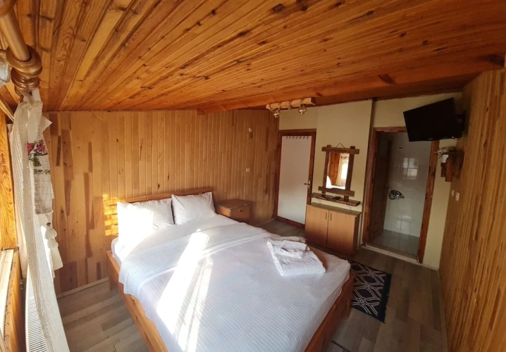 Standard Double room with mountain view
