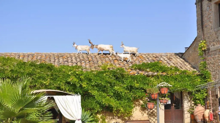 Vecchia Masseria