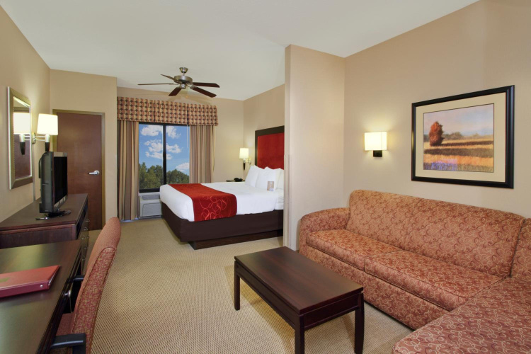 Comfort Suites DFW North/Grapevine