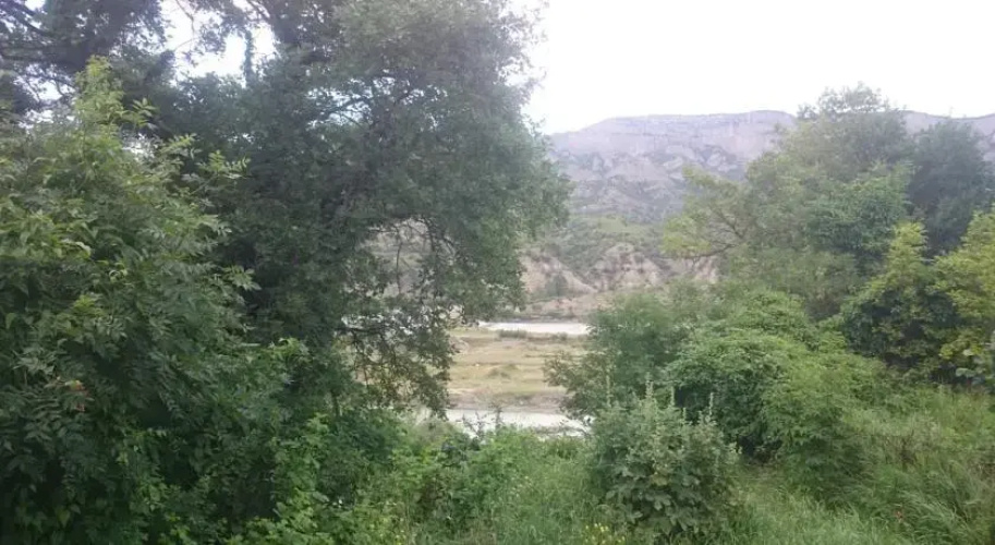 House Near Mtskheta