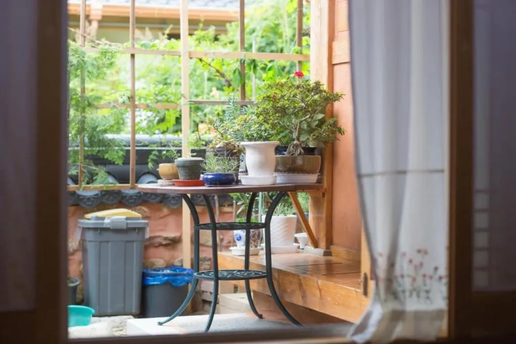 Standard Double room with garden view