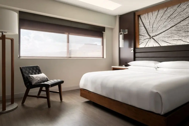 1 Bedroom Suite