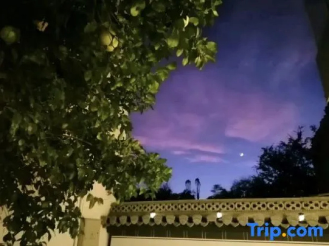 Zimo Guesthouse