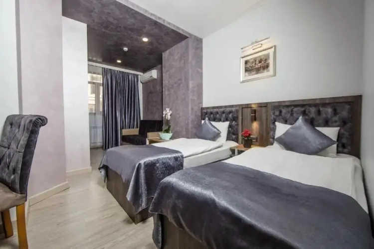 Deluxe Twin room with city view