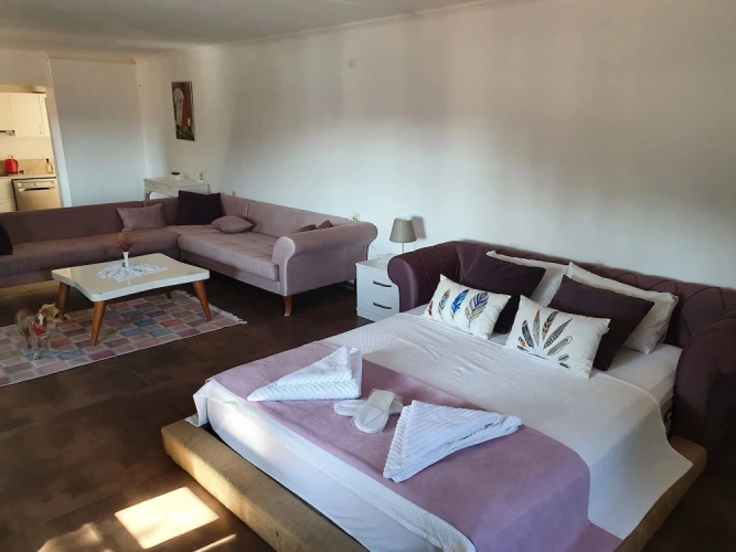 Single Suite