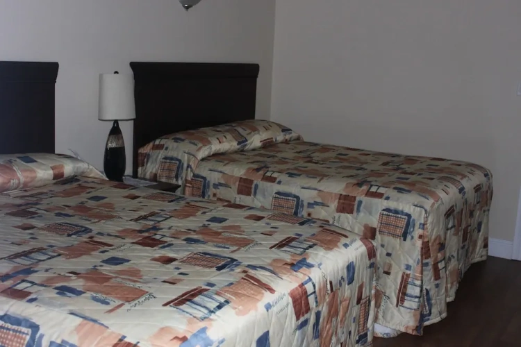 1 Bedroom Executive Suite