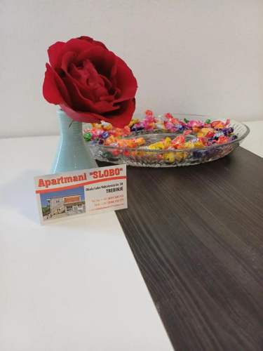 Apartment Slobo 1