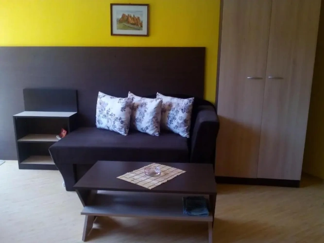Standard Double room with balcony and with view