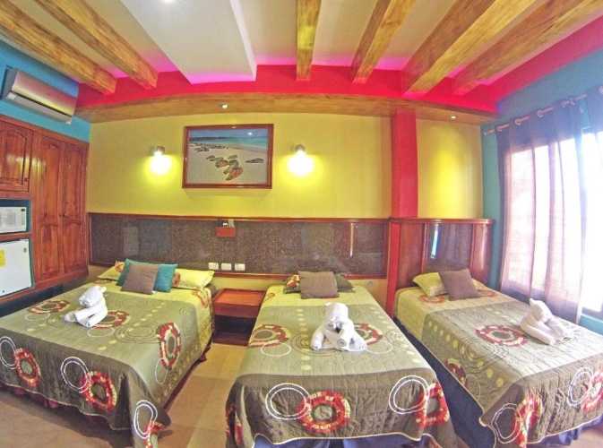 Standard Twin room with view