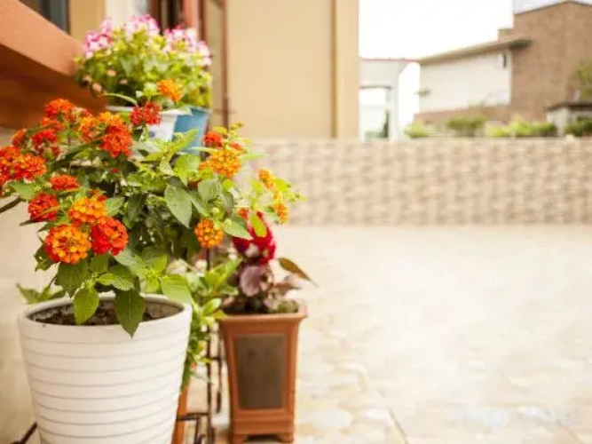 Shengsi Haiyi Lanting Homestay