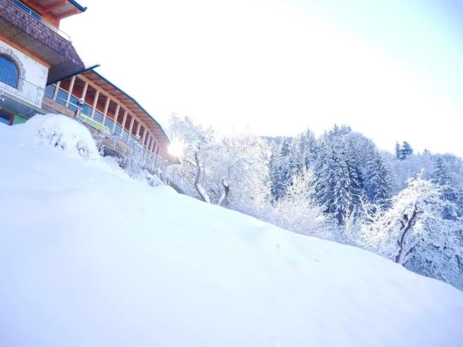 Deluxe Double room with mountain view