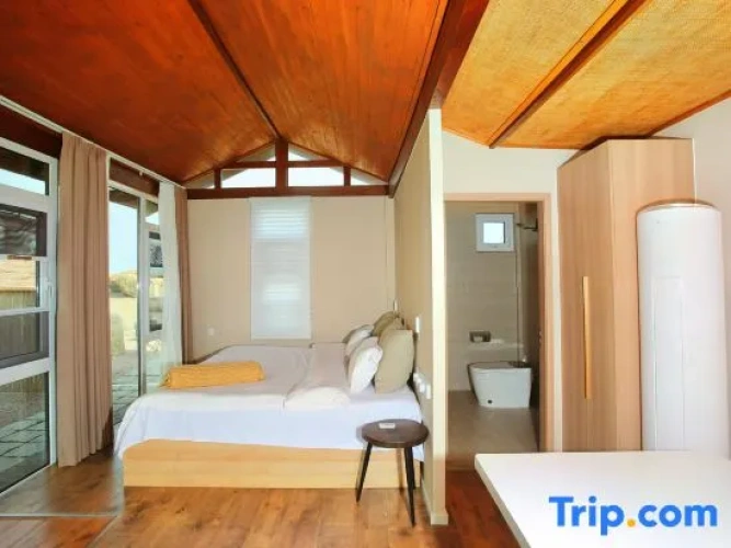 Standard Double room with sea view
