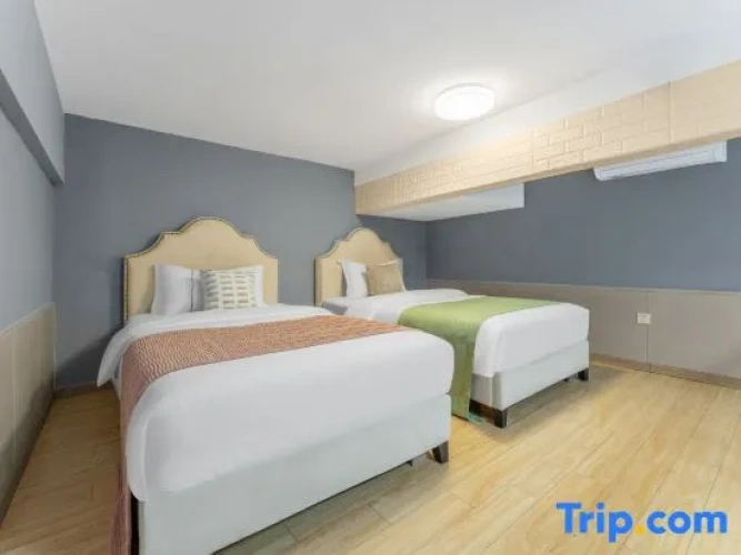 Luxury Twin Apartment