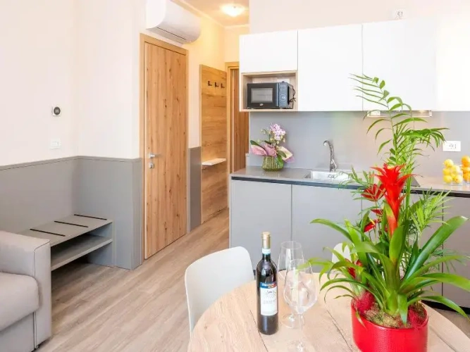 1 Bedroom Apartment with balcony