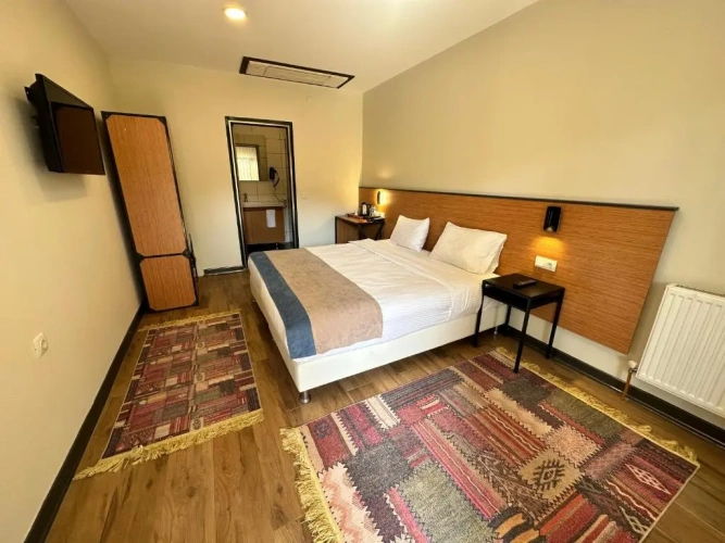 Standard Double room with garden view