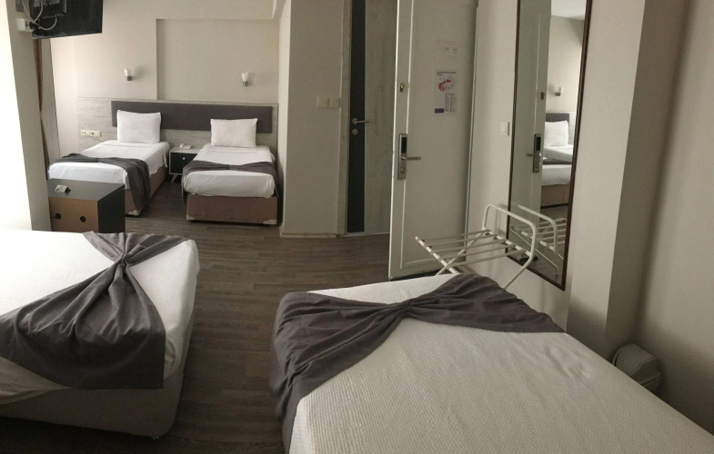 Hotel Temizay