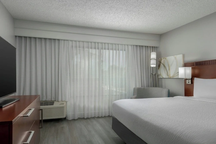 1 Bedroom Suite