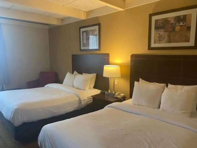 Superior Quadruple room