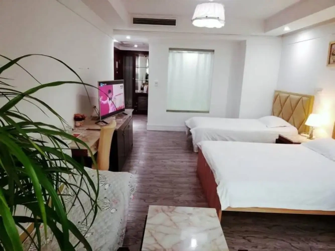 Standard Twin Family room
