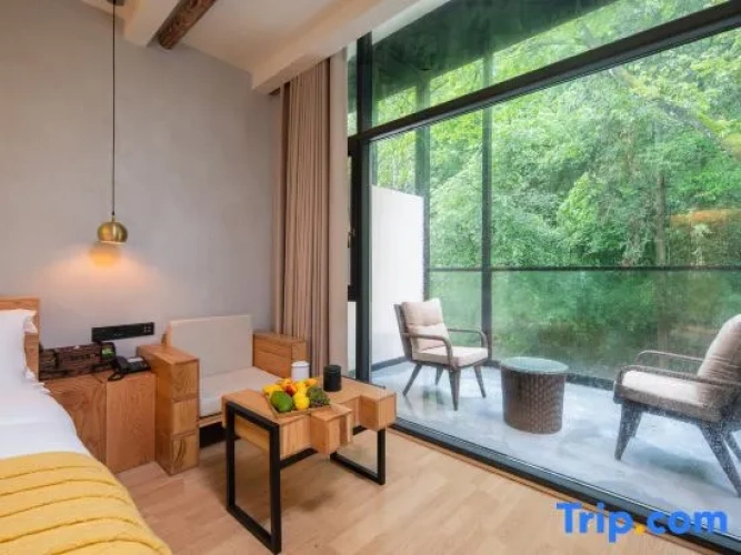 Standard Double room with balcony and with mountain view