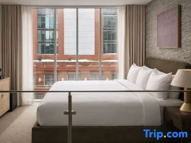 Standard Double Suite