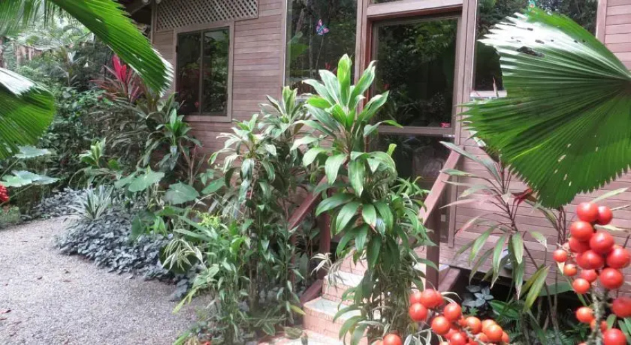 Cecropia House