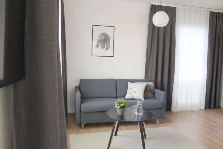 1 Bedroom Apartment