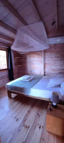 Bungalow vert corail