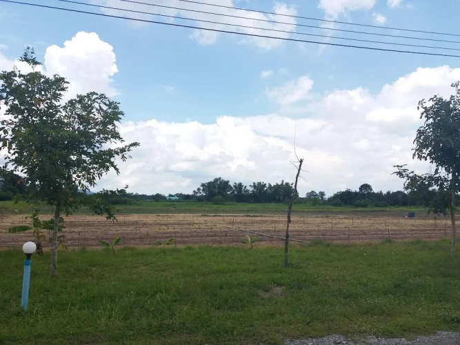 Single Villa