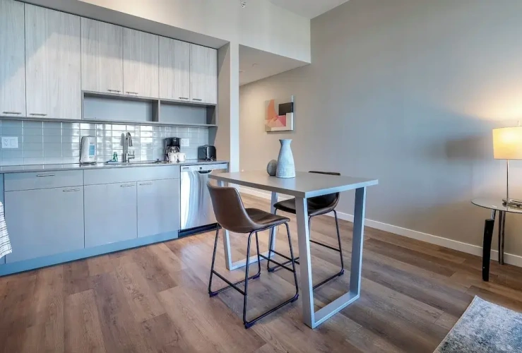 Luxury Apartment