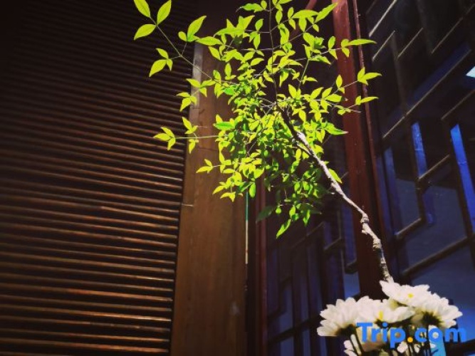 Outside